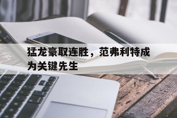 猛龙豪取连胜，范弗利特成为关键先生
