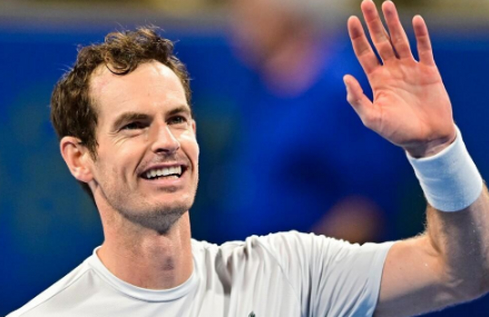 关于戴维斯杯横扫ATP总决赛,穆雷惊艳四座的信息 关于戴维斯杯横扫ATP总决赛,穆雷惊艳四座的信息