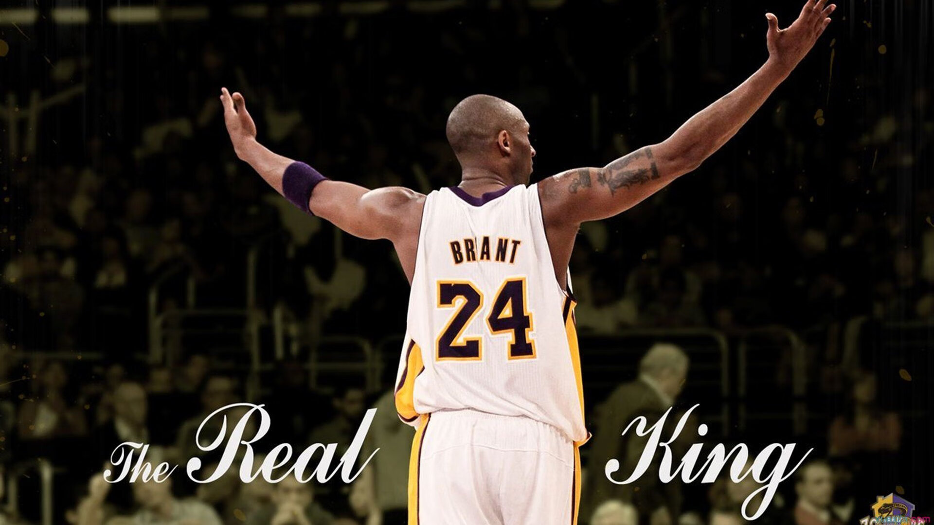 世界杯之夜，米切尔带队取胜，书写北美足球新篇章